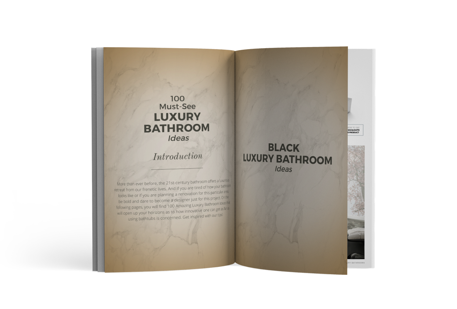Ebook Luxury Bathrooms